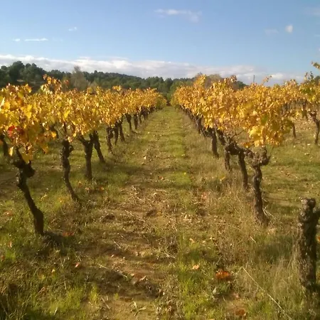 乡村民宿 Domaine D'azeou