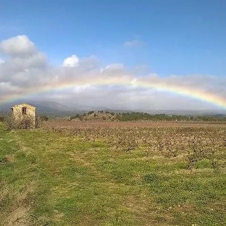 Domaine D'azeou Laure-Minervois