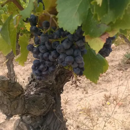 Domaine D'azeou
