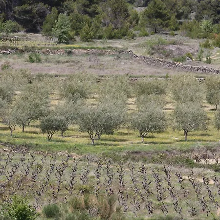 Domaine D'azeou Lantställe Laure-Minervois