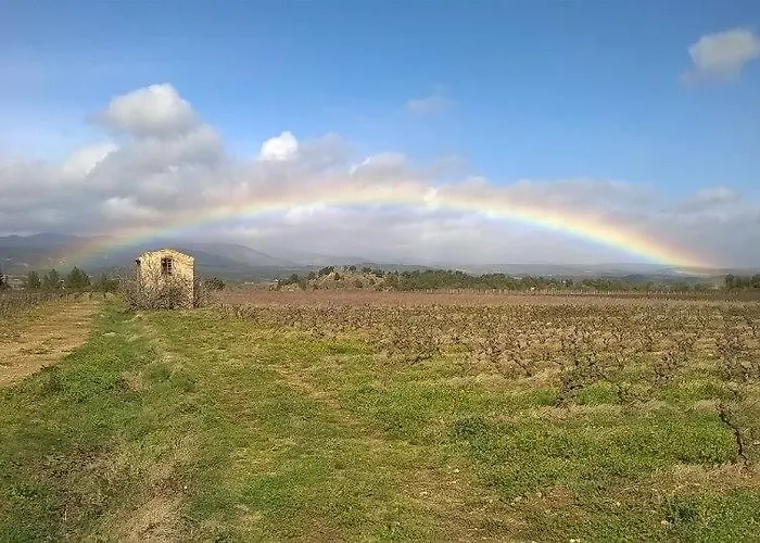 Domaine D'azeou Laure-Minervois