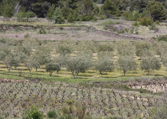 Domaine D'azeou Landsted Laure-Minervois